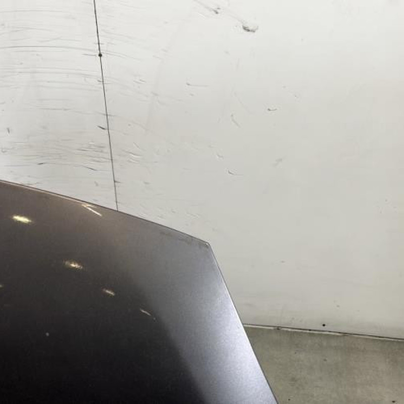 Capot RENAULT SCENIC 3 Photo n°4