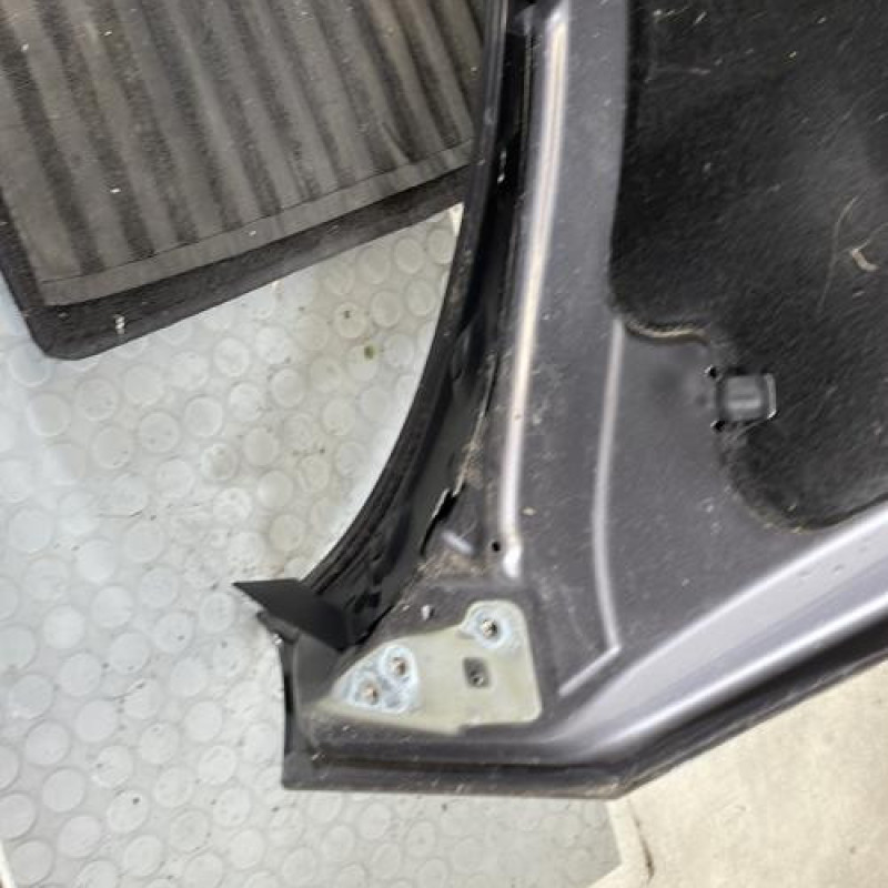 Capot RENAULT SCENIC 3 Photo n°8