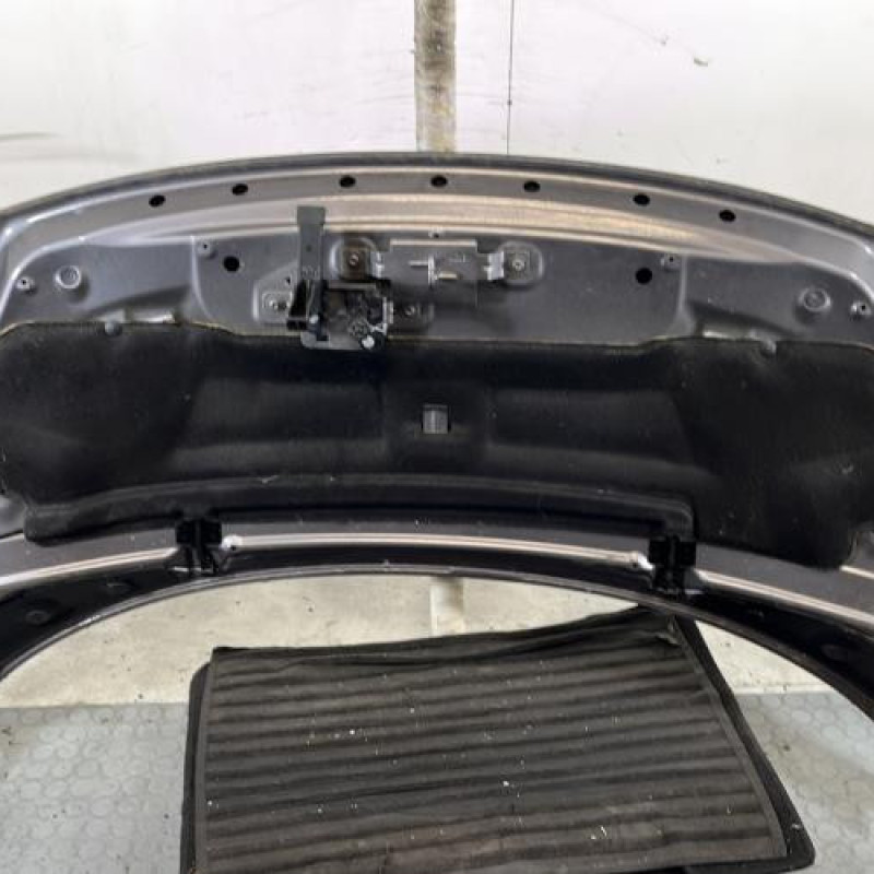 Capot RENAULT SCENIC 3 Photo n°9