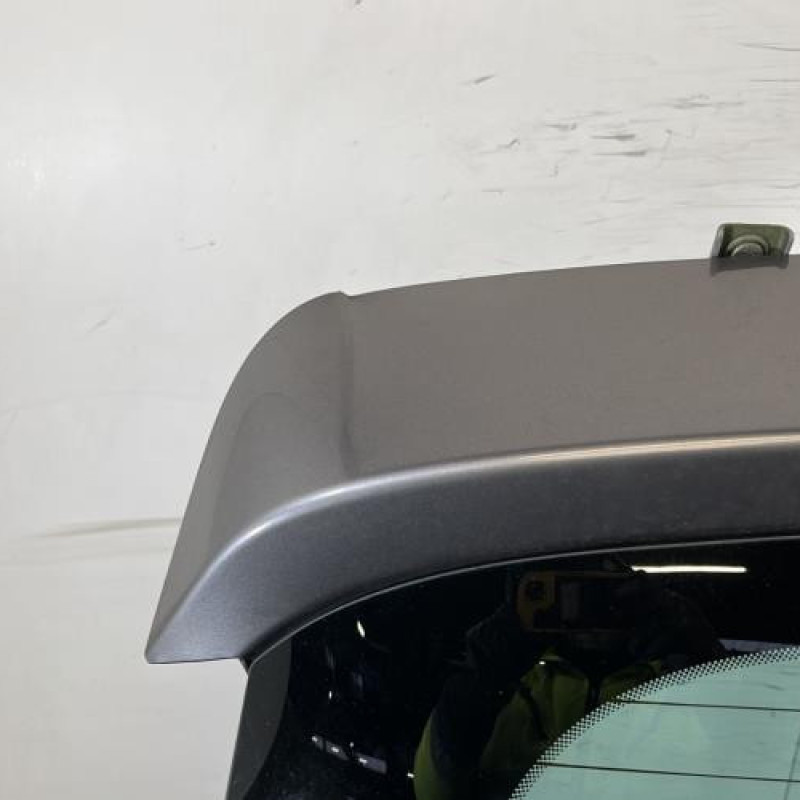 Malle/Hayon arriere RENAULT SCENIC 3 Photo n°2