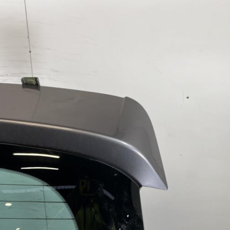 Malle/Hayon arriere RENAULT SCENIC 3 Photo n°3