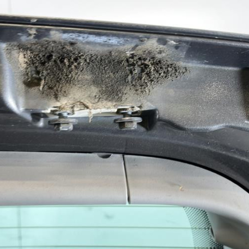 Malle/Hayon arriere PEUGEOT 807 Photo n°11