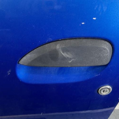 Porte avant gauche DACIA SANDERO 2