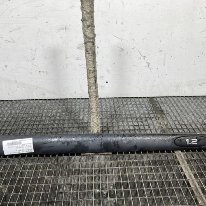 Baguette de porte avant droite RENAULT CLIO 2 Photo n°1