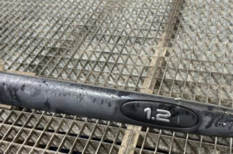 Baguette de porte avant droite RENAULT CLIO 2