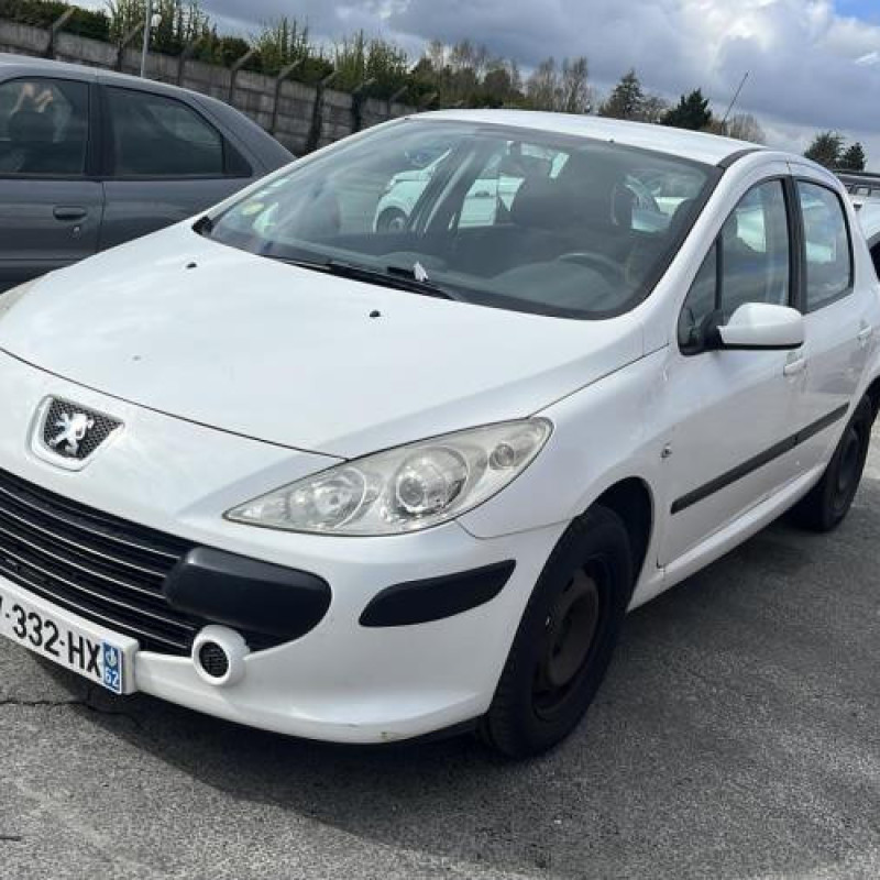 Jante PEUGEOT 307 Photo n°5