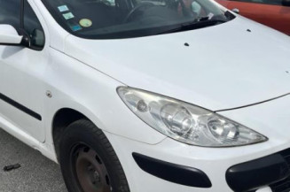 Jante PEUGEOT 307