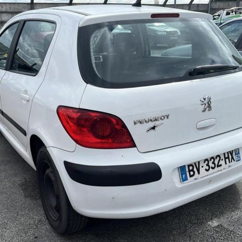 Jante PEUGEOT 307 Photo n°9