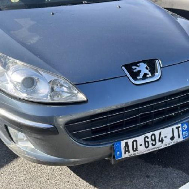 Jante PEUGEOT 407 Photo n°5