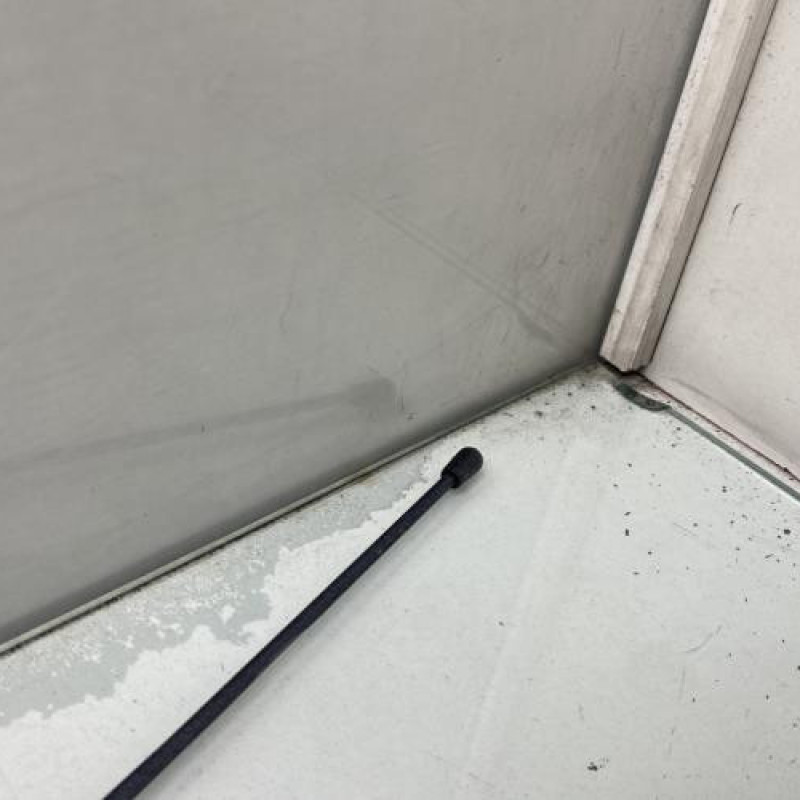 Antenne DACIA SANDERO 2 Photo n°3