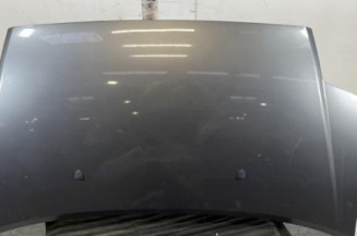 Capot CITROEN C2 Photo n°1