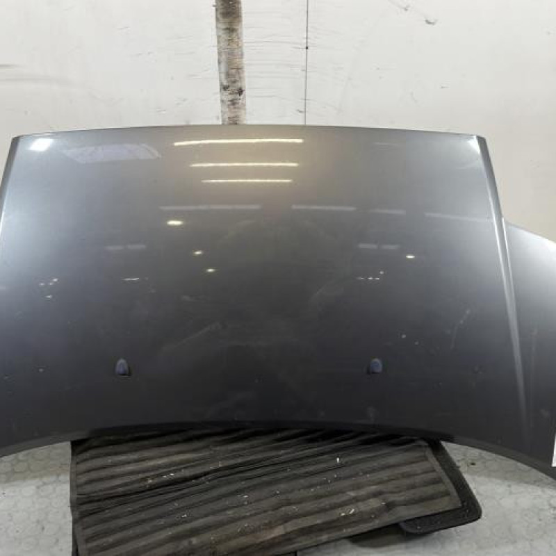 Capot CITROEN C2 Photo n°1