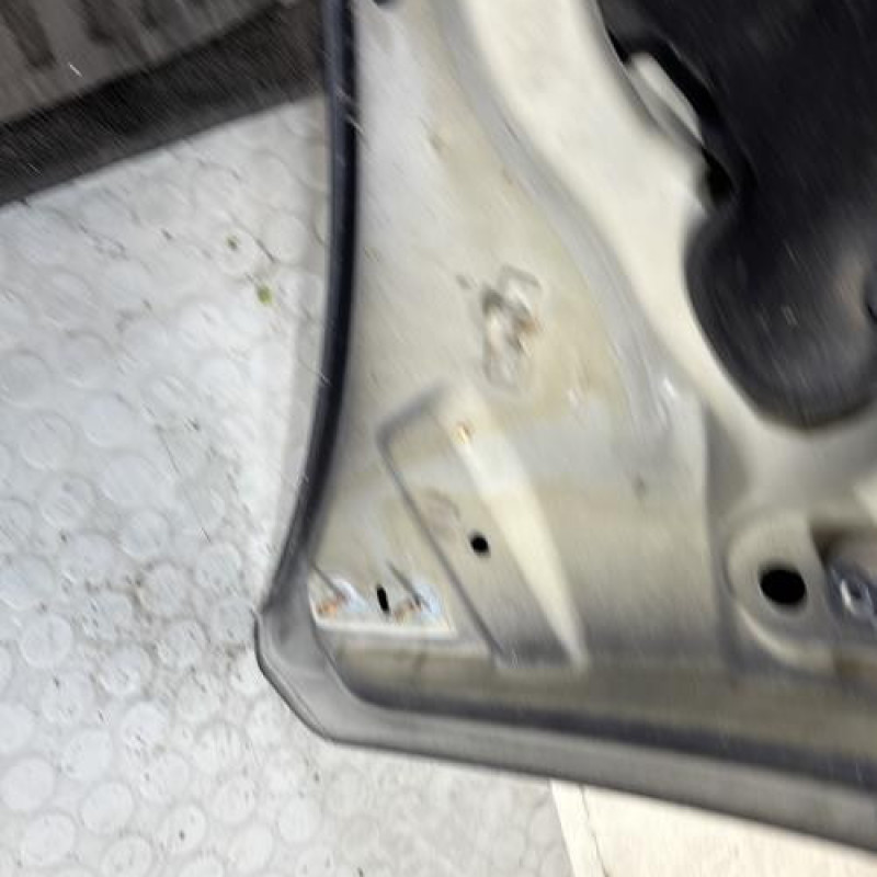 Capot CITROEN C2 Photo n°8