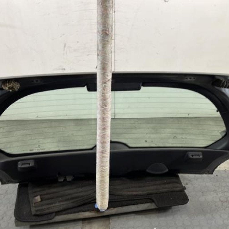 Malle/Hayon arriere CITROEN C2 Photo n°6