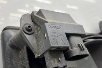 Moto ventilateur radiateur PEUGEOT 208 1