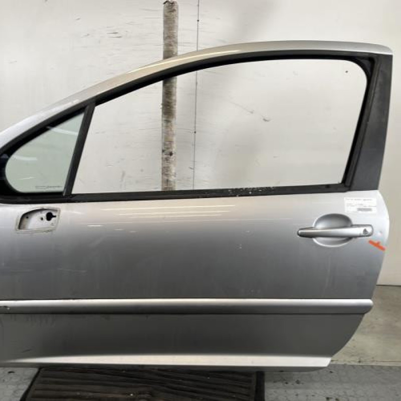 Porte avant gauche PEUGEOT 207 Photo n°1