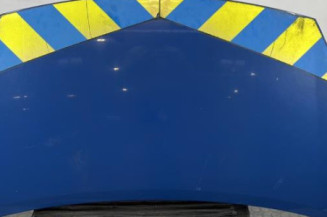 Capot PEUGEOT PARTNER 2 Photo n°1