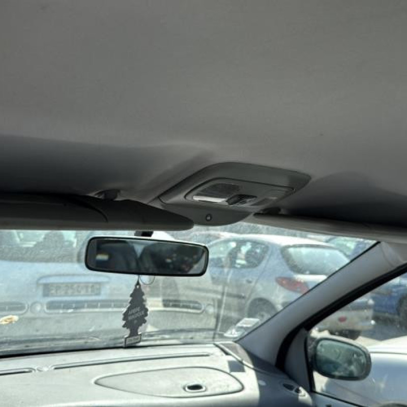 Bouton de warning RENAULT SCENIC 1 Photo n°12