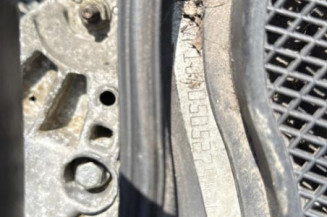 Bouton de warning RENAULT SCENIC 1