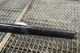 Baguette de porte avant gauche RENAULT TWINGO 2