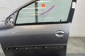 Porte avant gauche PEUGEOT 206 Photo n°1