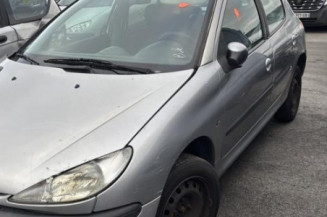 Porte avant gauche PEUGEOT 206