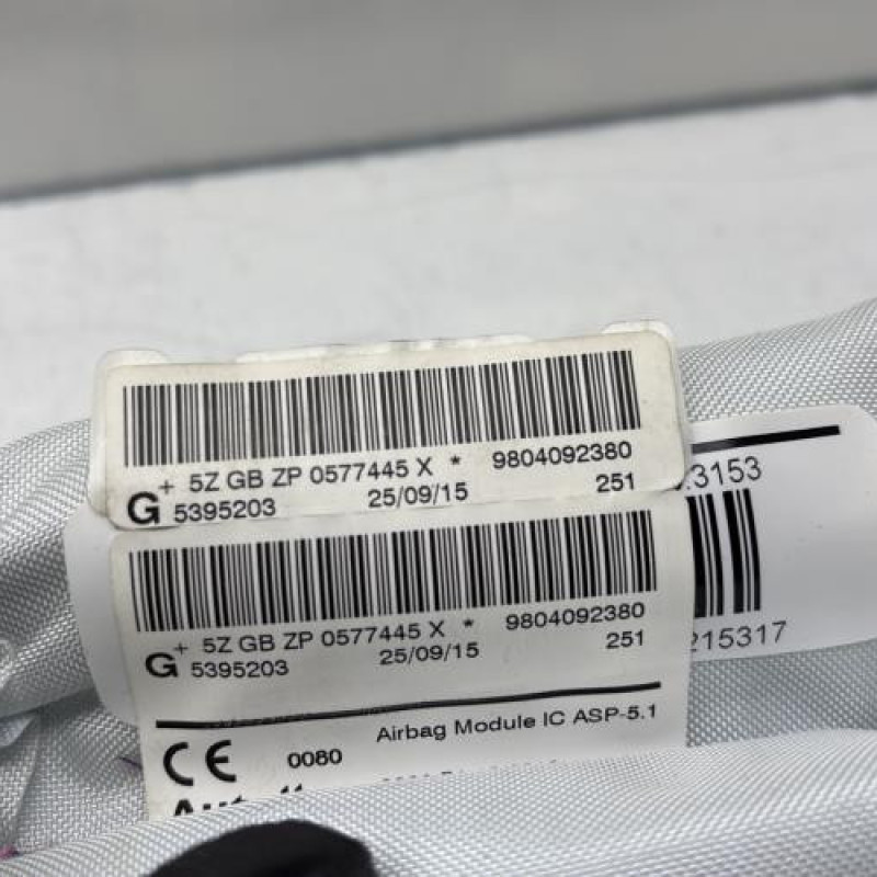 Air bag rideau gauche PEUGEOT 2008 1 Photo n°4