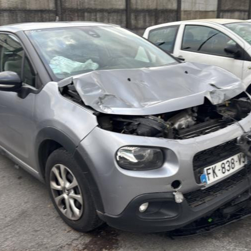 Porte arriere droit CITROEN C3 3 Photo n°8