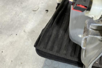 Porte arriere gauche CITROEN C3 3