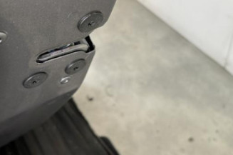 Porte arriere gauche RENAULT SCENIC 3