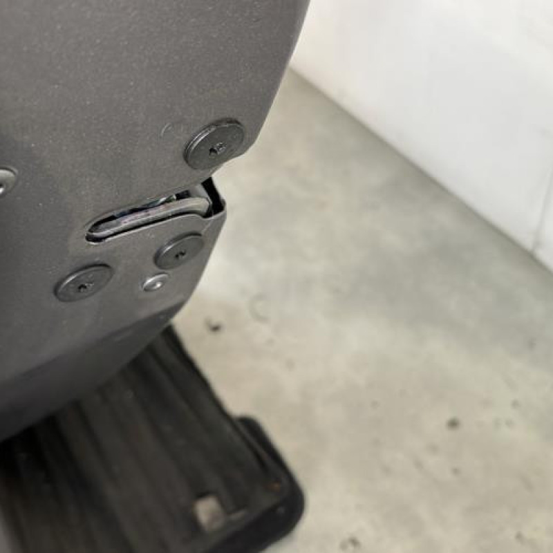 Porte arriere gauche RENAULT SCENIC 3 Photo n°3