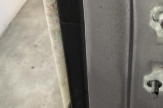 Porte arriere gauche RENAULT SCENIC 3