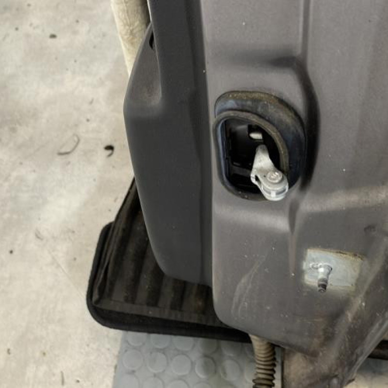 Porte arriere gauche RENAULT SCENIC 3 Photo n°5