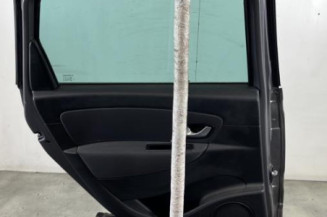 Porte arriere gauche RENAULT SCENIC 3
