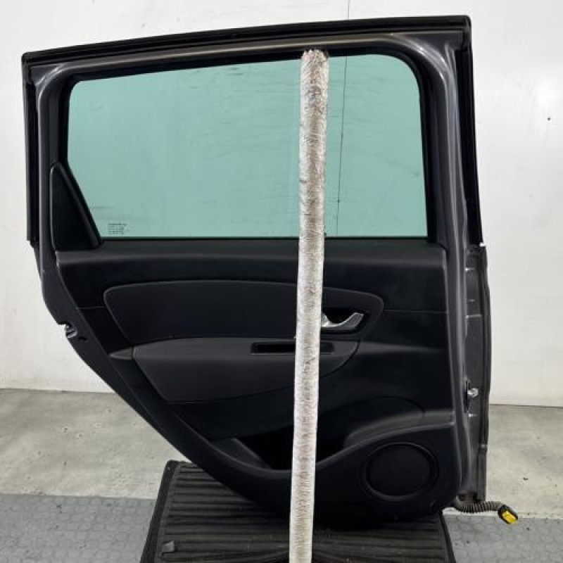 Porte arriere gauche RENAULT SCENIC 3 Photo n°6