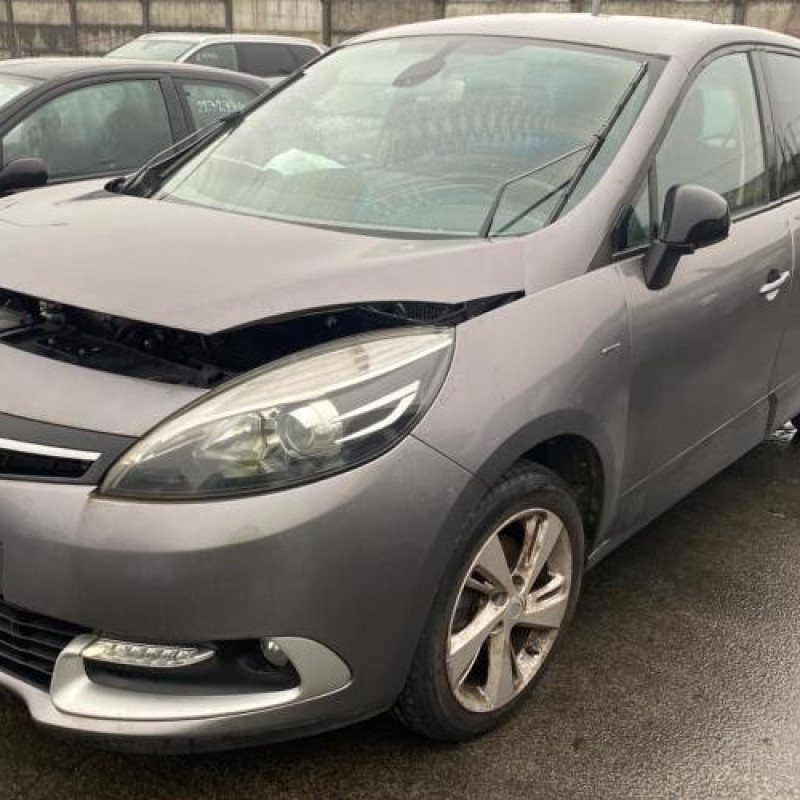 Porte arriere gauche RENAULT SCENIC 3 Photo n°16