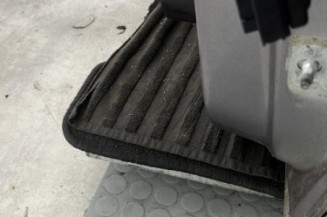 Porte avant gauche RENAULT SCENIC 3