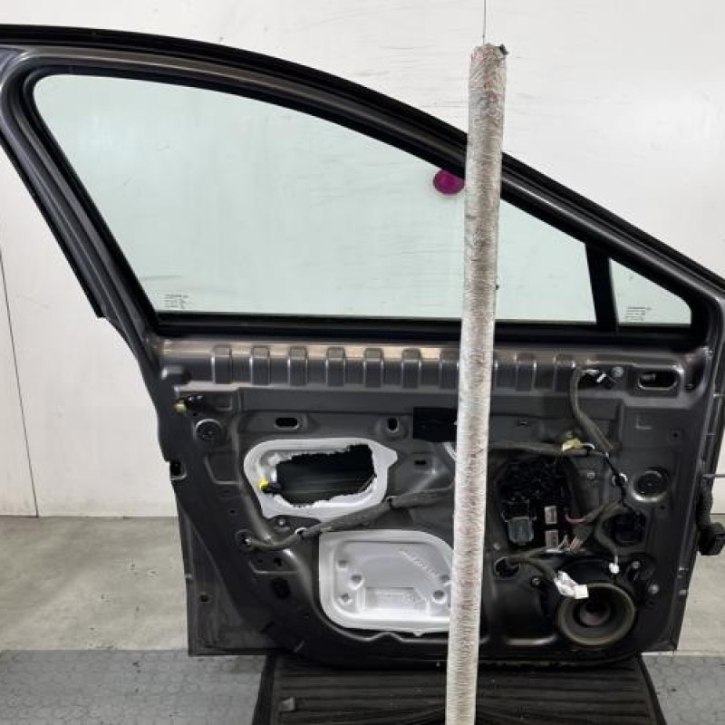 Porte avant gauche RENAULT SCENIC 3 Photo n°4