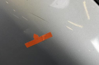 Porte arriere gauche PEUGEOT 208 1