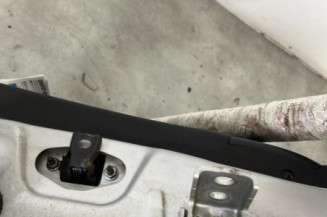 Porte arriere gauche PEUGEOT 208 1