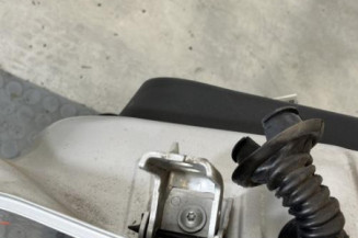 Porte arriere gauche PEUGEOT 208 1