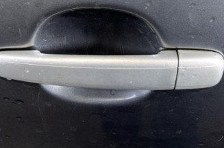 Porte arriere gauche CITROEN C3 1