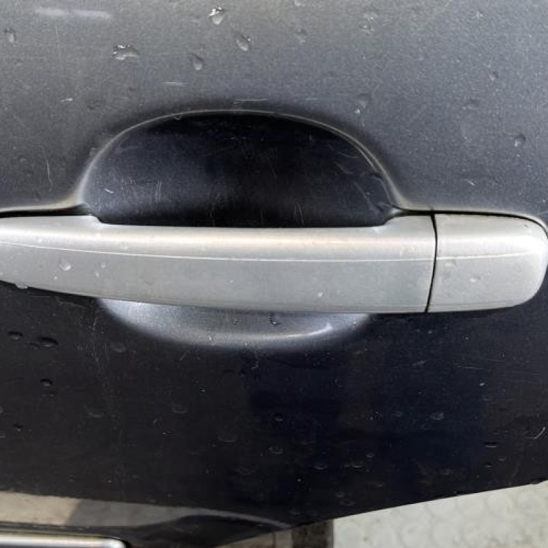 Porte arriere gauche CITROEN C3 1 Photo n°2