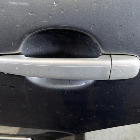 Porte arriere gauche CITROEN C3 1