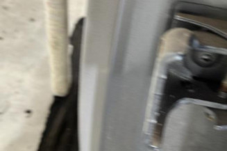 Porte arriere gauche CITROEN C3 1