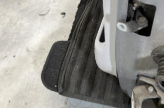 Porte arriere gauche CITROEN C3 1