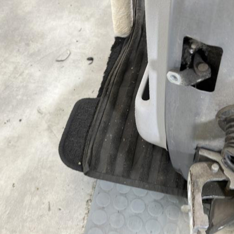 Porte arriere gauche CITROEN C3 1 Photo n°5