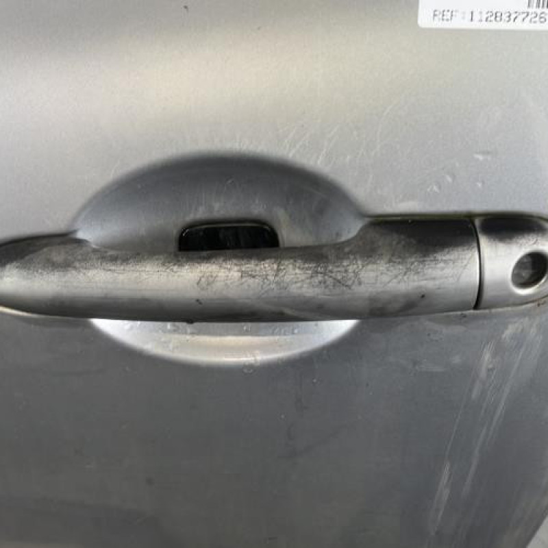 Porte avant gauche RENAULT CLIO 3 Photo n°2