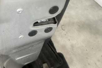 Porte avant gauche RENAULT CLIO 3