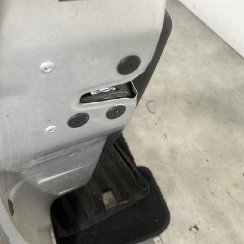 Porte avant gauche RENAULT CLIO 3 Photo n°3